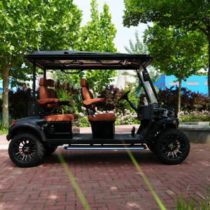 Spring 2026 LSV Street 4 Seater Golf Cart DOT/CE/FMVSS 500 Certified 72V Lithium 25MPH Low Speed Vehicle <b>70</b>-90km Minibu - Product Image 6