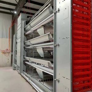Toptan yeni durum otomatik hayvancılık ekipmanları 1500-20000 tavuk kanatlı çiftlik hayvan kafesleri indirim fiyata - Product Image 1