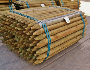 Piquets de chantier (pointus / à 4 pointes) - Product Image 2