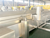 Volledig automatische continue friteuse met transportband voor het maken van knapperige snacks uit pellet-, chip- en bonenproducten.