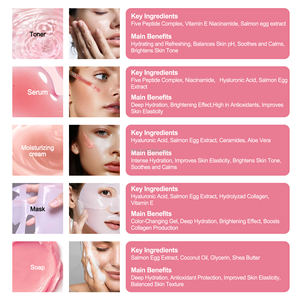 OEMロゴ韓国サーモンPDRNピンクペプチドファーミング保湿スキンケアセット - Product Image 4