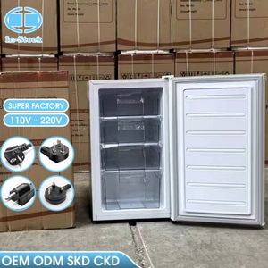 Congélateur vertical mini OEM 98L, congélateur portable compact, appareils électroménagers, réfrigérateur intelligent à porte unique pour la maison ODM - Product Image 1