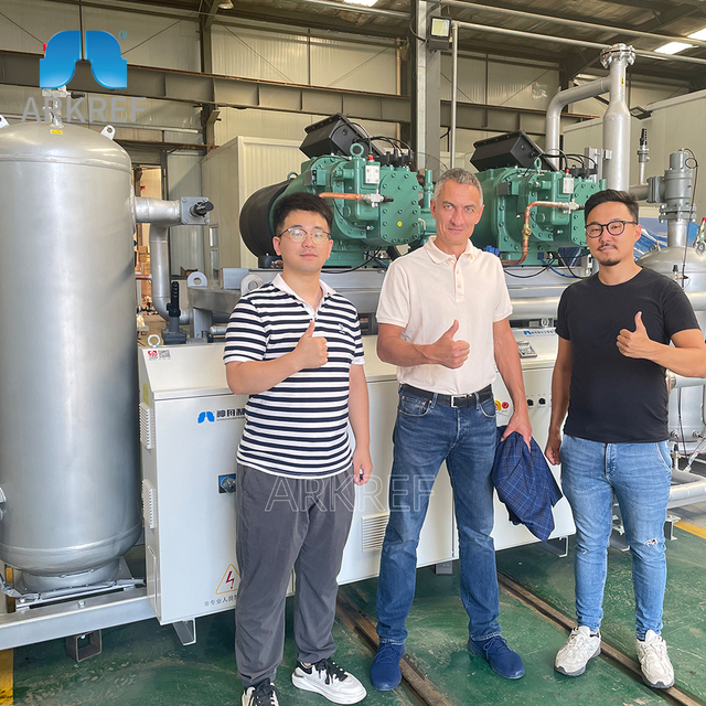 Arkref Cold Storage Equipment Bitzer Screw Compressor Rack Unit Low Temperature Screw Parallel Unit
