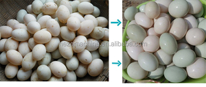 Máquina para Lavar Huevos con Cepillos Gruesos, Máquina para Limpiar Huevos - Product Image 6