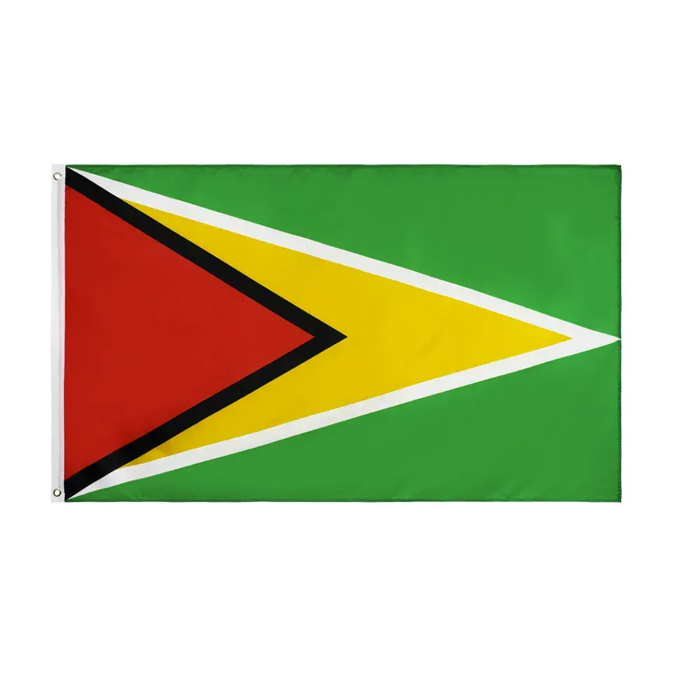 Huiyi 100% Polyester reklam bayrakları afiş kooperatif cumhuriyeti promosyon dekorasyon için Guyana bayrağı