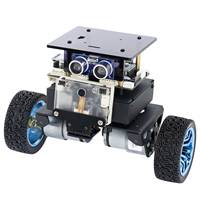4KG Charge Utile STM32 Balance Car Supports Expansion Tracking Model Handle AI Camera and Lidar with a Real Time Status OLED Display