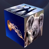 Écran LED Cube Magique P4 Pleine Couleur pour Intérieur, Mur Vidéo pour Magasin de Détail, Écran Publicitaire Extérieur, Écran LED Cube Magique