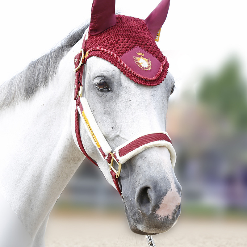 Horseback Riding Essentials Basic Equestrian Bag