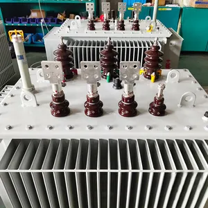 ขดลวดทองแดง S11 250KVA 6kV/10kV/11kV 0.4kV หม้อแปลงไฟฟ้าแช่น้ํามันสามเฟสแบบกําหนดเอง