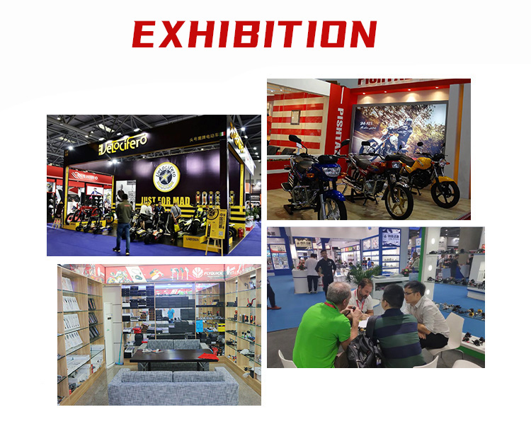 Rear Passenger Footpeg Rest Bracket for Kawasaki ZX10R