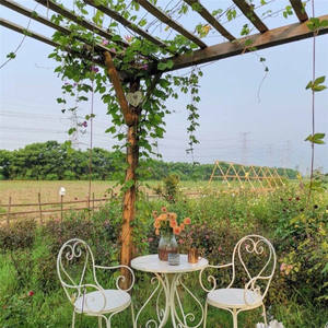 Table et chaises en <span class=keywords><strong>fer</strong></span> <span class=keywords><strong>forgé</strong></span> nordique en forme <span class=keywords><strong>de</strong></span> cœur pour villa, balcon, <span class=keywords><strong>salon</strong></span> <span class=keywords><strong>de</strong></span> thé, petite table basse, table <span class=keywords><strong>de</strong></span> <span class=keywords><strong>jardin</strong></span> simple et décontractée pour l'extérieur - Product Image 2