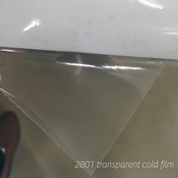 Papier photo plastique brillant mat 25 pouces, film de plastification à froid en rouleau