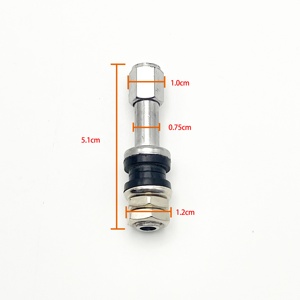 Vanne de pneu en fer en gros, vanne de pneu sans chambre à air pour moto TR48E - Product Image 1