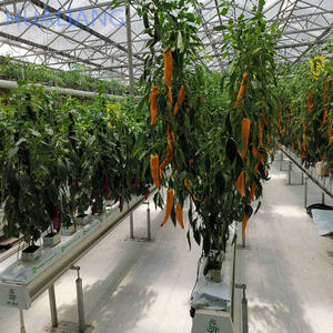 Steinwolle hydrokultur kindergarten gewächshaus kommerziellen hydrokultur pvc rohr systeme - Product Image 1