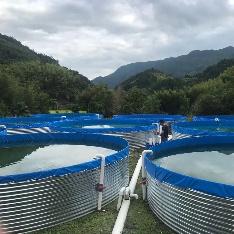 Équipement de pisciculture bâche étang à poissons feuille galvanisée à chaud économique Koi Tilapia réservoir d'élevage