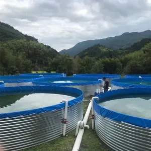 Equipo de piscicultura Lona Estanque de peces Hoja galvanizada en caliente económica Tanque de cría de tilapia Koi