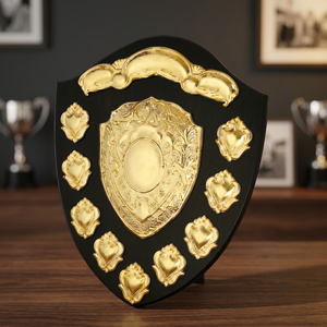 Trophée bouclier en laiton poli pour décoration nautique - Product Image 3
