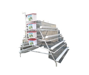 Cage à poules automatique pour la collecte des œufs pour élevage avicole avec prix <span class=keywords><strong>de</strong></span> cage à poules pondeuses inférieur, très populaire en Tanzanie - Product Image 1