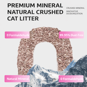 Litière pour chat minérale de qualité supérieure, hautement compactable, à agglomération rapide, contrôle efficace des odeurs, 99 % sans poussière, sable exceptionnel conçu pour les chats - Product Image 3