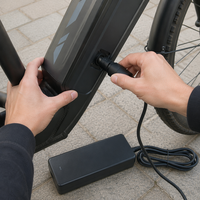 Chargeur de vélo électrique Bosch 3 broches 42V 2A pour batterie Bosch 36V, logo personnalisé, livraison rapide, connecteur certifié CE