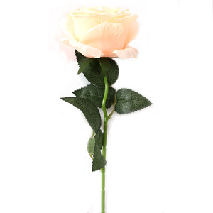 Bouquet de roses artificielles courtes en soie, haute simulation, décoration de table, ornement de mariage - Product Image 4