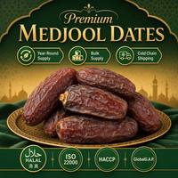 Dátiles Secos Orgánicos Frescos, Dulces Naturales, Energéticos, Premium, para Hornear, Regalo de Ramadán, Venta al por Mayor, Exportación a Granel