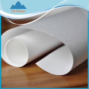 0.5um /PES/sợi thủy tinh/nylon/PTFE/PP/<span class=keywords><strong>pvdf</strong></span> màng lọc <span class=keywords><strong>micropore</strong></span> cuộn màng lọc cho phòng thí nghiệm - Product Image 4