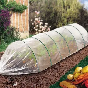 Agriculture uv resistant ldpe film greenhouse plastic for For Vegetable Plantation Cover