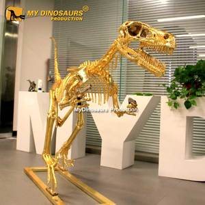 Mi Dinosaurio, un <span class=keywords><strong>Esqueleto</strong></span> de <span class=keywords><strong>Velociraptor</strong></span> Dorado de Tamaño Real para Exhibición - Product Image 2