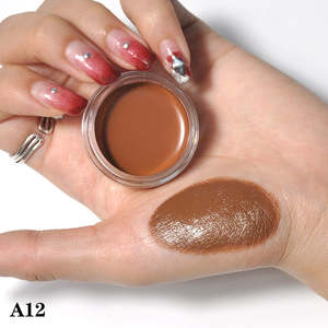 2025 Haute Qualité Maquillage Personnalisé Cosmétiques Couverture Complète Correcteur Crème Contour Palette Marque Privée Correcteur - Product Image 2