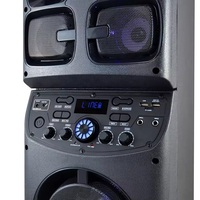 TD0655 Bosinas Amplificada Équipement Sonore/Amplificateurs Grandes Enceintes Karaoké pour Fêtes DJ Extérieures avec 2 Micros sans Fil