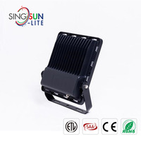 Mince CE RoHS haute puissance projecteur lampe de jardin IP65 étanche projecteur 20W 30W 50W 100W 150W 200W Extérieure A Mené La Lumière D'inondation