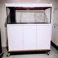 Aquarium en verre élégant pour la maison, avec cloison de séparation, écosystème filtrant biologique vert, fourni directement par l'usine