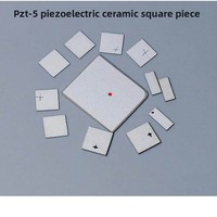 Plaque céramique piézoélectrique PZT5 carrée, capteur ultrasonique, transducteur, puce 5A 5B 5H personnalisable, fabriqué en Chine continentale
