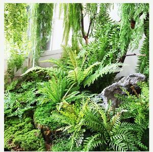Plante de <span class=keywords><strong>fougère</strong></span> artificielle en pot pour <span class=keywords><strong>d</strong></span>écoration intérieure, mariage, <span class=keywords><strong>ornement</strong></span>, <span class=keywords><strong>fougère</strong></span> persane artificielle - Product Image 5
