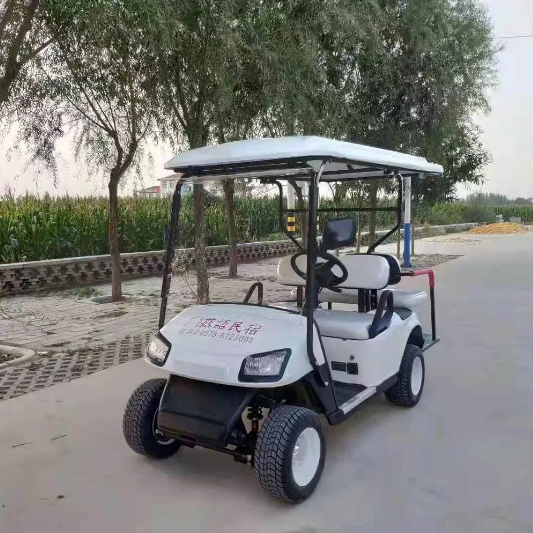 Abd pazarı yüksek kaliteli üretici fiyat lityum-iyon güç sıfır emisyon elektrikli Golf araba golfçü's Chariot emlak özellikleri için
