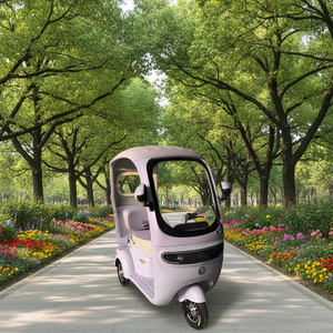 Tricycle à capote <span class=keywords><strong>2</strong></span> places 60V résistant aux intempéries (homologué DOT) : Véhicule fiable pour les trajets entre centres de <span class=keywords><strong>spa</strong></span> et stations balnéaires et les courses à domicile en zone montagneuse - Product Image 2