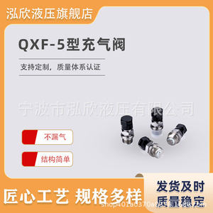 QXF-5 Air Valve 1/4 Inch Manual Oil Pressure Regulation Hydraulic <b>Shearing</b> Machine Accumulator Filling <b>Tool</b> - Product Image 5