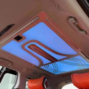 Accesorios interiores de <span class=keywords><strong>limusina</strong></span> DOS, interiores de furgoneta de lujo, conversión de luz de techo, iluminación de techo, cielo estrellado para Benz - Product Image 4