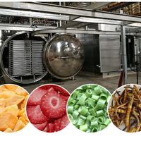 Automatische industriële vacuüm-vriesdroger fabriekslevering grote capaciteit voedseldroogmachine voor zeevruchten, fruit en groenten