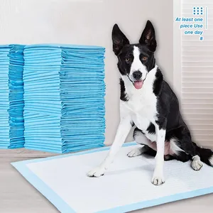 Pañales desechables para perros, almohadillas superabsorbentes para entrenamiento, esterilla de pañales para gatos, 100 unidades