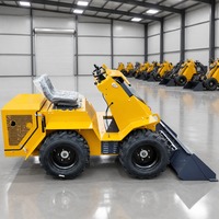 Mini-chargeuse sur pneus de qualité supérieure CE EPA 4x4, chargeuse compacte utilitaire avec godet, OEM chinois, personnalisable pour l'agriculture et la construction