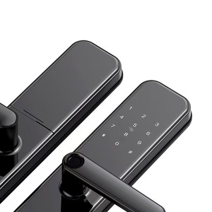 Serratura Intelligente Cloud in Lega di Zinco a Basso Prezzo con App Tuya/TTlock, Codice Biometrico e Impronta Digitale per Porte in Acciaio Inox - Product Image 6