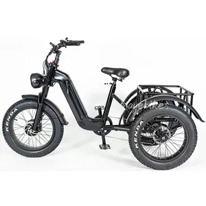 20"x4.0 electric bicycle 3 wheels fat tire 48v 500w electric trike fat tyre with 48V 10ah Battery inside frame body