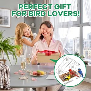 Nouvelle mangeoire à oiseaux pour fenêtre avec ventouses, bol à nourriture pour oiseaux suspendu à l'extérieur, mangeoire pour oiseaux - Product Image 4