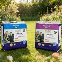 Couches jetables pour adultes désodorisantes aux polyphénols de thé | Étanche, Sec, Confortable, Plat et Élastique |   Disponible en tailles L et XL