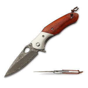 Cuchillo de supervivencia personalizado privado de alta calidad, cuchillas de Damasco, hoja y abulón, mango de resina, cuchillo plegable - Product Image 3