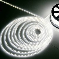 Bande lumineuse LED 2835 110v 220v 100m/rouleau Étanche