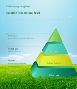 Céréales à l'avoine naturelles pures petit déjeuner 910g flocons d'avoine à grains grossiers sains pour les aliments pour bébés haute digestibilité exportés dans le monde entier - Product Image 5
