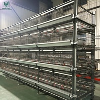 Système de cage à poulets à griller de type H à plusieurs niveaux avec alimentation et arrosage automatiques.